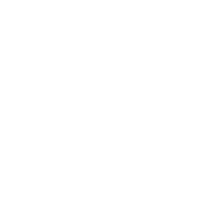 Detroit Disesel